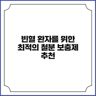 빈혈 환자를 위한 최적의 철분 보충제 추천