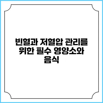 빈혈과 저혈압 관리를 위한 필수 영양소와 음식