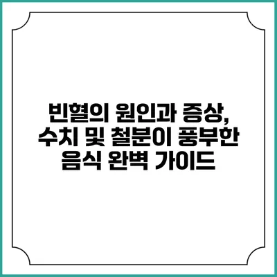 빈혈의 원인과 증상, 수치 및 철분이 풍부한 음식 완벽 가이드