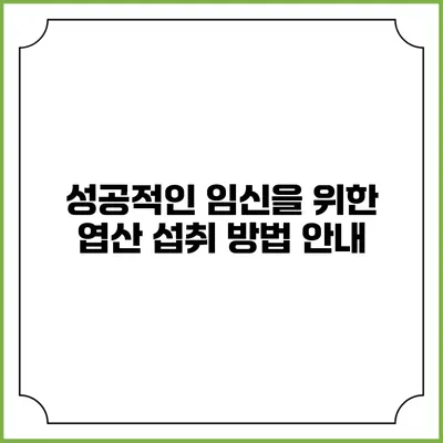 성공적인 임신을 위한 엽산 섭취 방법 안내
