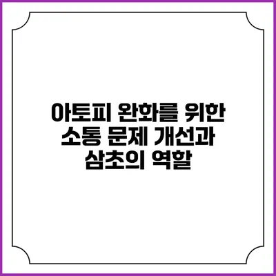 아토피 완화를 위한 소통 문제 개선과 삼초의 역할