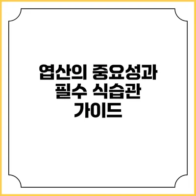 엽산의 중요성과 필수 식습관 가이드