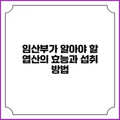 임산부가 알아야 할 엽산의 효능과 섭취 방법