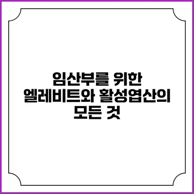 임산부를 위한 엘레비트와 활성엽산의 모든 것