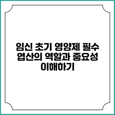 임신 초기 영양제: 필수 엽산의 역할과 중요성 이해하기