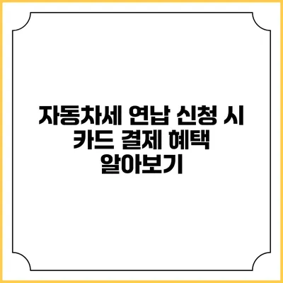자동차세 연납 신청 시 카드 결제 혜택 알아보기