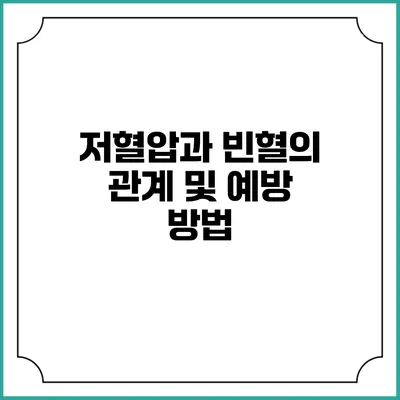 저혈압과 빈혈의 관계 및 예방 방법