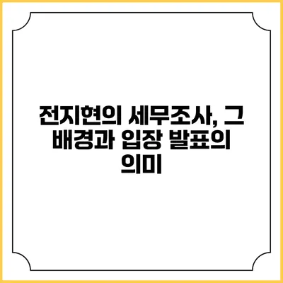 전지현의 세무조사, 그 배경과 입장 발표의 의미