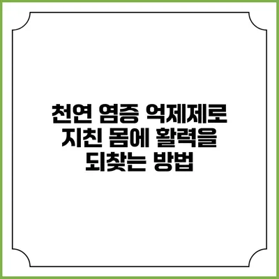 천연 염증 억제제로 지친 몸에 활력을 되찾는 방법