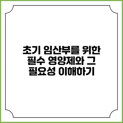 초기 임산부를 위한 필수 영양제와 그 필요성 이해하기