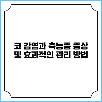 코 감염과 축농증: 증상 및 효과적인 관리 방법