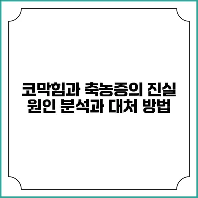 코막힘과 축농증의 진실: 원인 분석과 대처 방법