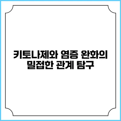 키토나제와 염증 완화의 밀접한 관계 탐구