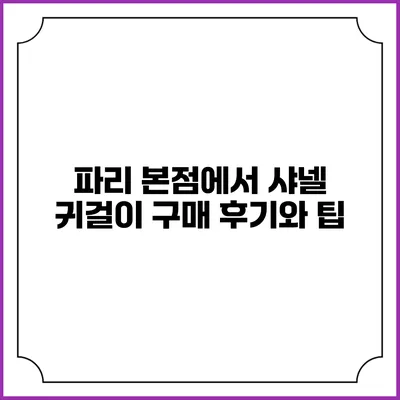 파리 본점에서 샤넬 귀걸이 구매 후기와 팁