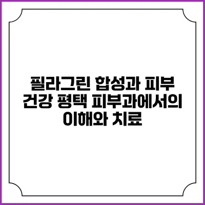 필라그린 합성과 피부 건강: 평택 피부과에서의 이해와 치료