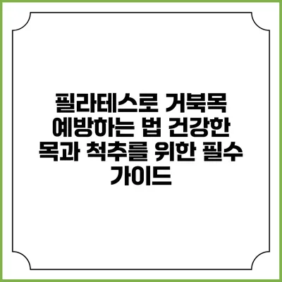 필라테스로 거북목 예방하는 법: 건강한 목과 척추를 위한 필수 가이드