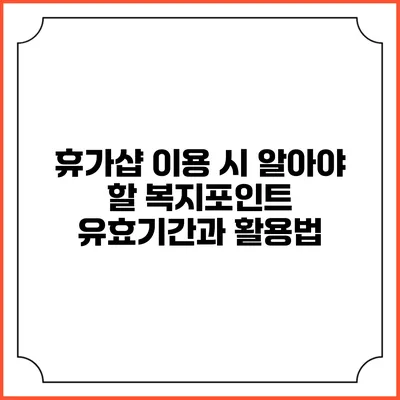 휴가샵 이용 시 알아야 할 복지포인트 유효기간과 활용법