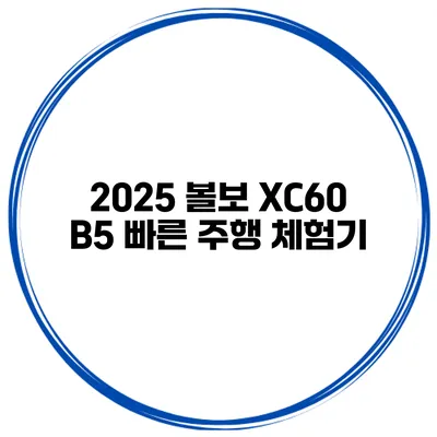 2025 볼보 XC60 B5 빠른 주행 체험기