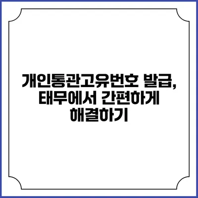 개인통관고유번호 발급, 태무에서 간편하게 해결하기