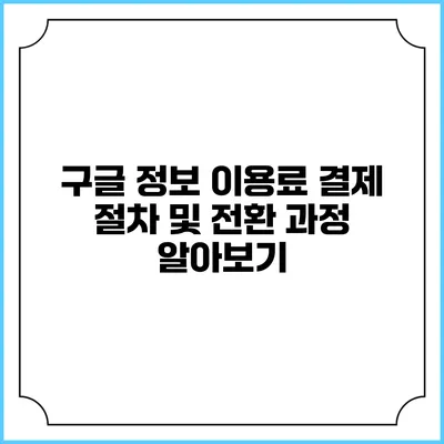 구글 정보 이용료 결제 절차 및 전환 과정 알아보기