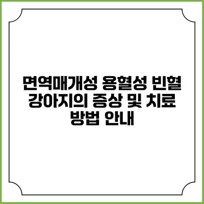 면역매개성 용혈성 빈혈: 강아지의 증상 및 치료 방법 안내