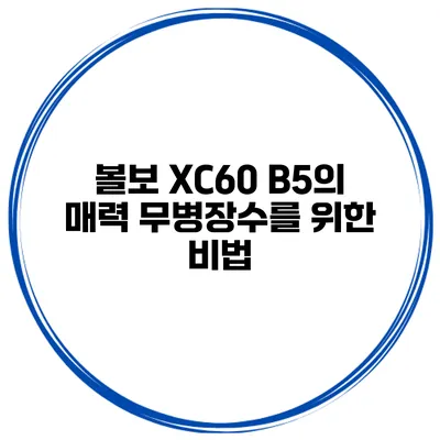 볼보 XC60 B5의 매력 무병장수를 위한 비법