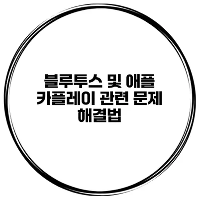 블루투스 및 애플 카플레이 관련 문제 해결법