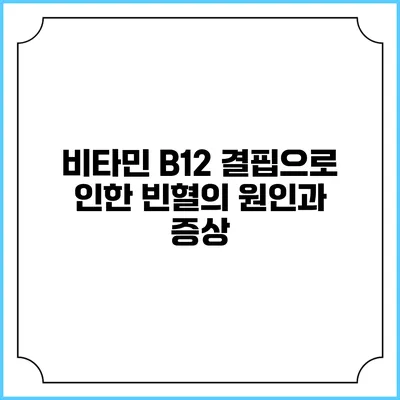 비타민 B12 결핍으로 인한 빈혈의 원인과 증상