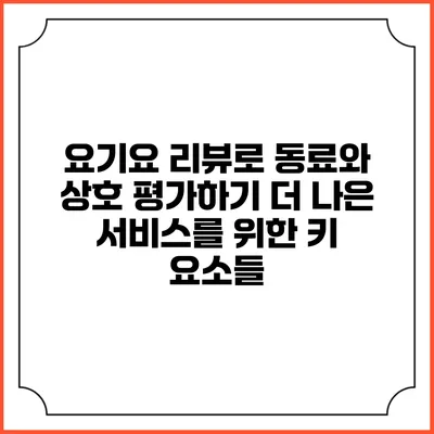 요기요 리뷰로 동료와 상호 평가하기: 더 나은 서비스를 위한 키 요소들