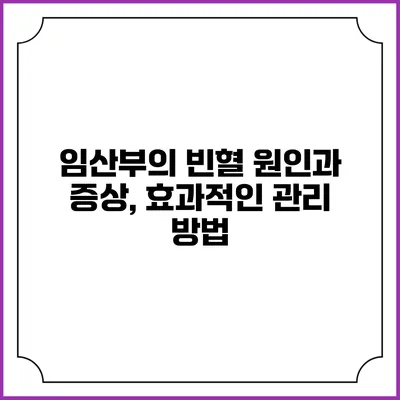 임산부의 빈혈 원인과 증상, 효과적인 관리 방법