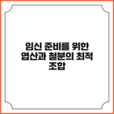 임신 준비를 위한 엽산과 철분의 최적 조합