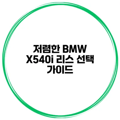 저렴한 BMW X540i 리스 선택 가이드