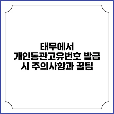 태무에서 개인통관고유번호 발급 시 주의사항과 꿀팁