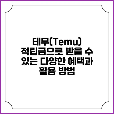테무(Temu) 적립금으로 받을 수 있는 다양한 혜택과 활용 방법