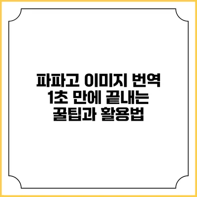 파파고 이미지 번역: 1초 만에 끝내는 꿀팁과 활용법